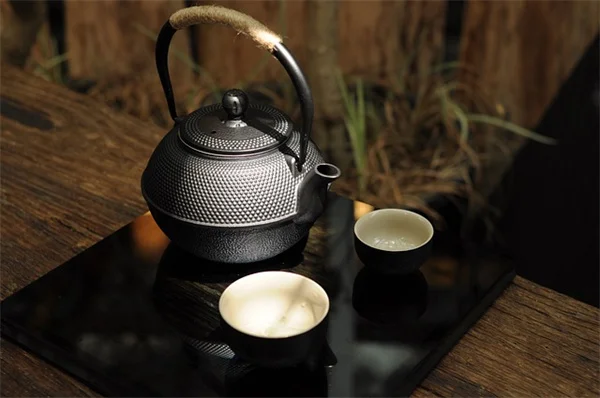 料理好き必見！初心者でも簡単に育てられるおすすめ香草8選