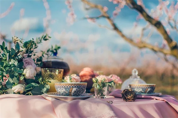 毯花の相棒植物5選！ガーデンデザインがぐっと引き締まる栽培のコツ