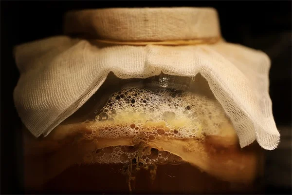 ピスタチオ栽培の実体験から学ぶ！害虫・病気の対策と予防のコツ